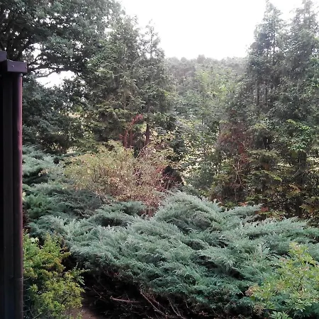 Dağ evi Chalumen : Chalet Lumineux Sur 40 Ares De Foret Andenne