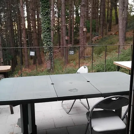 샬레 Chalumen : Chalet Lumineux Sur 40 Ares De Foret *