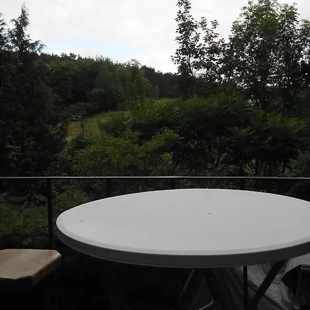 Chalumen : Chalet Lumineux Sur 40 Ares De Foret Dağ evi
