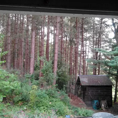 Chalumen : Chalet Lumineux Sur 40 Ares De Foret *