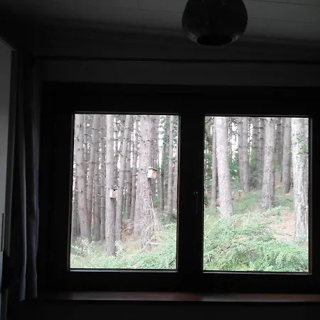 Dağ evi Chalumen : Chalet Lumineux Sur 40 Ares De Foret *